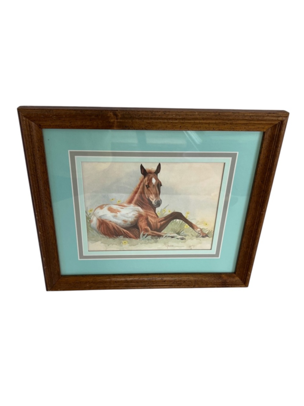 "Peaceful Pasture” Appaloosa Foal Lithograph Framed Horse Print Art Bruce Greene